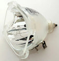 DLP Projection Bare Bulb Z891