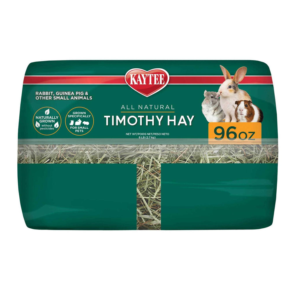 Timothy Hay A60284