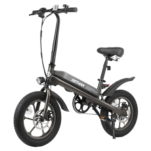 16x3.0 Fat Tire 750W Folding Electric Bike Z383