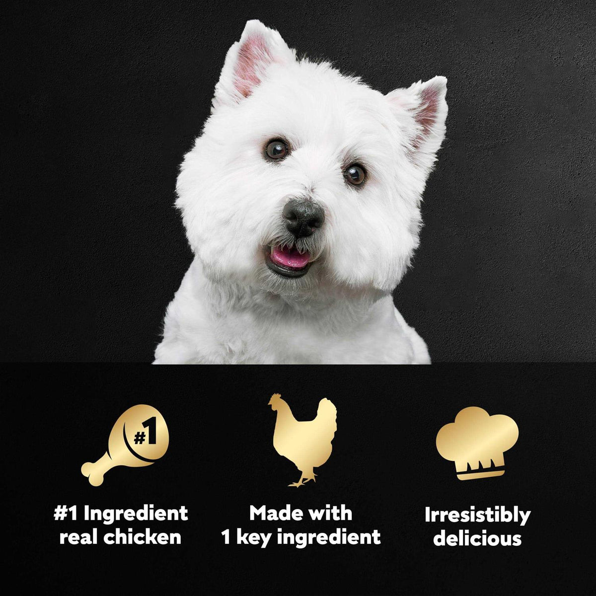 Chicken Wet Dog Food K5201
