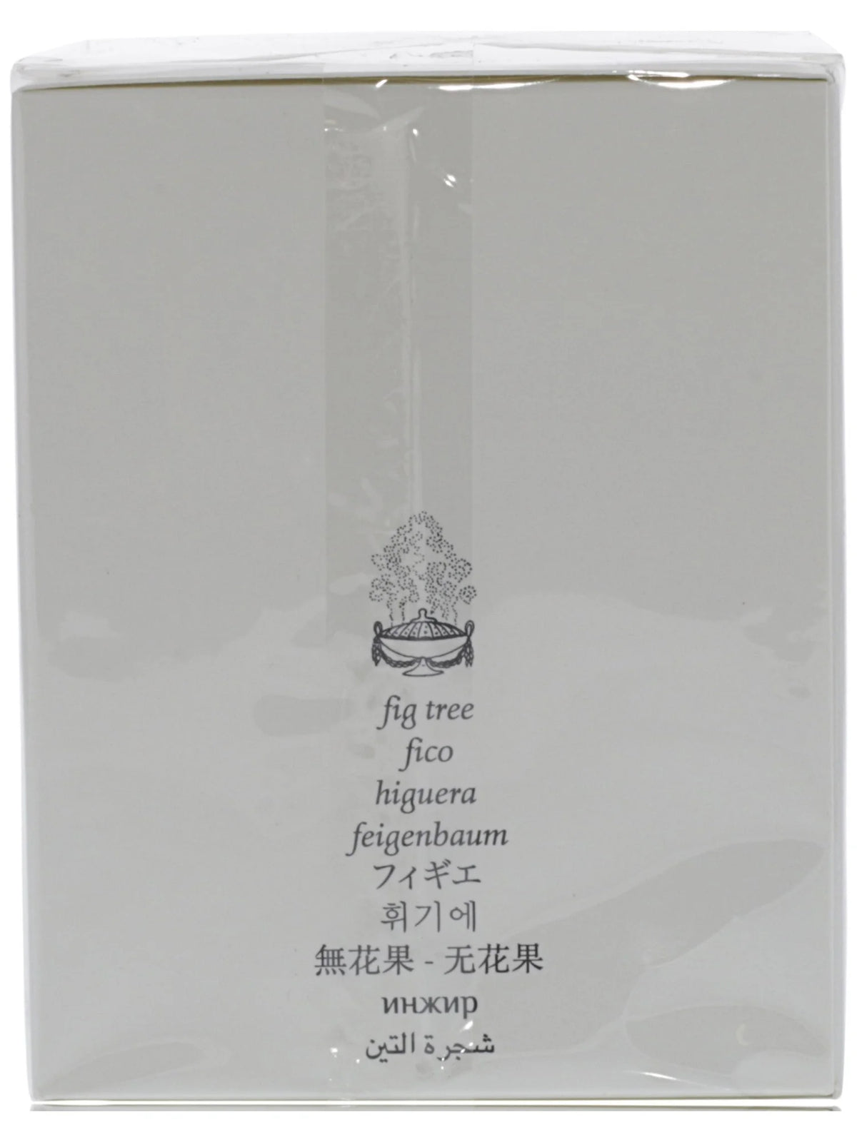 Figuier Candle F252198