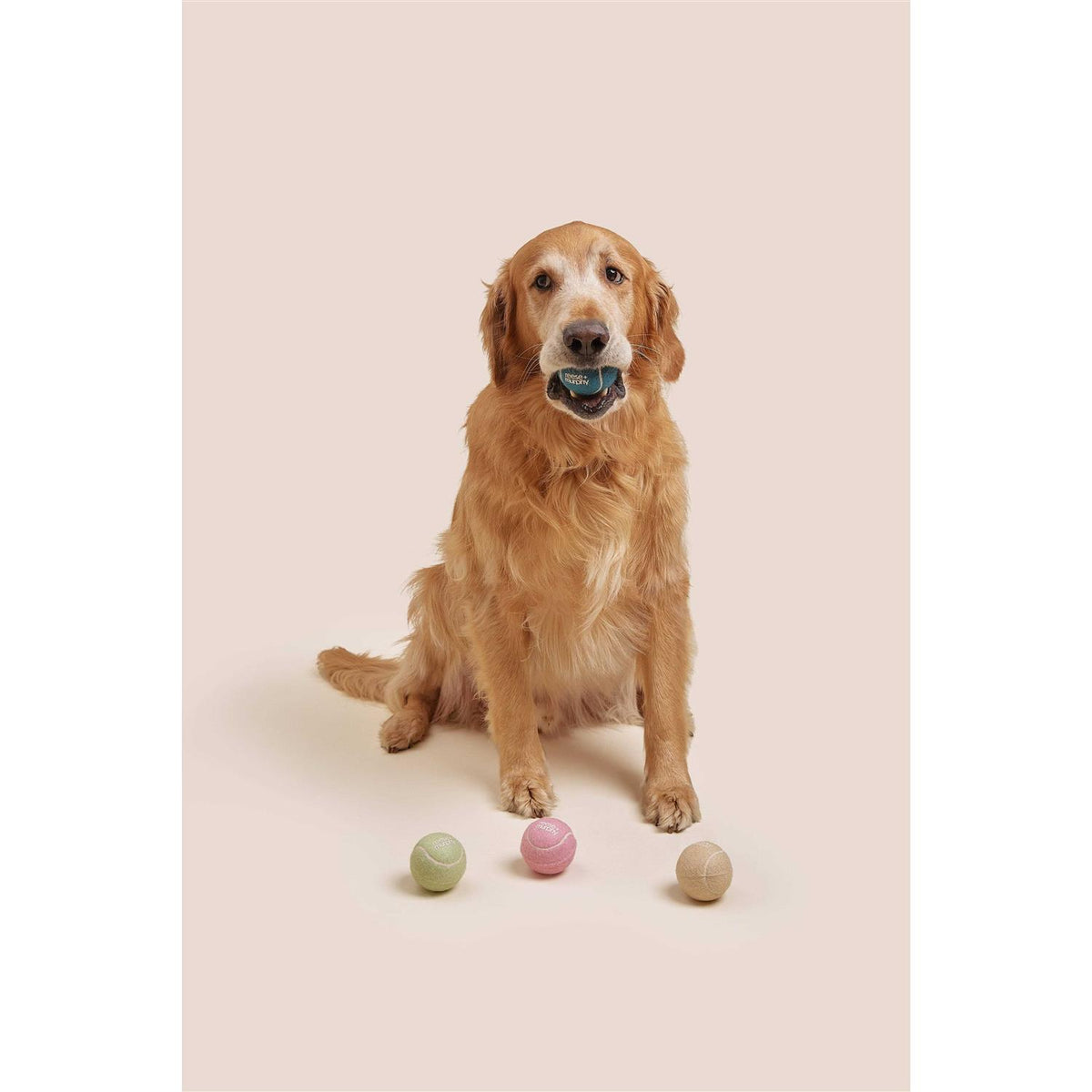 Dog Tennis Balls F7440