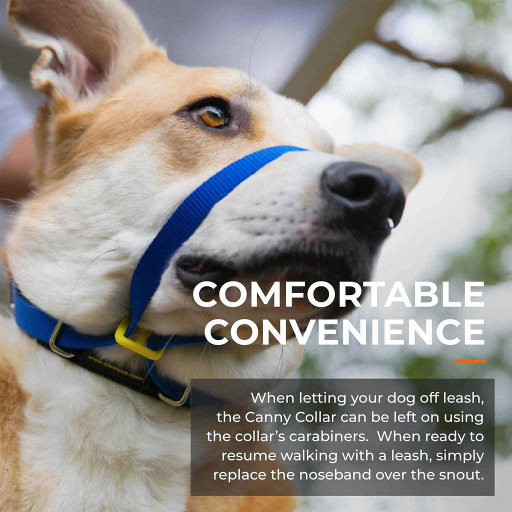 Padded Dog Training Head Collar F2620