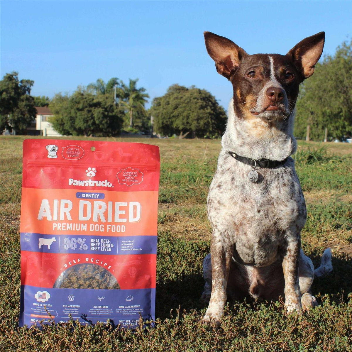 Grain-Free Air Dried Dog Food U4841