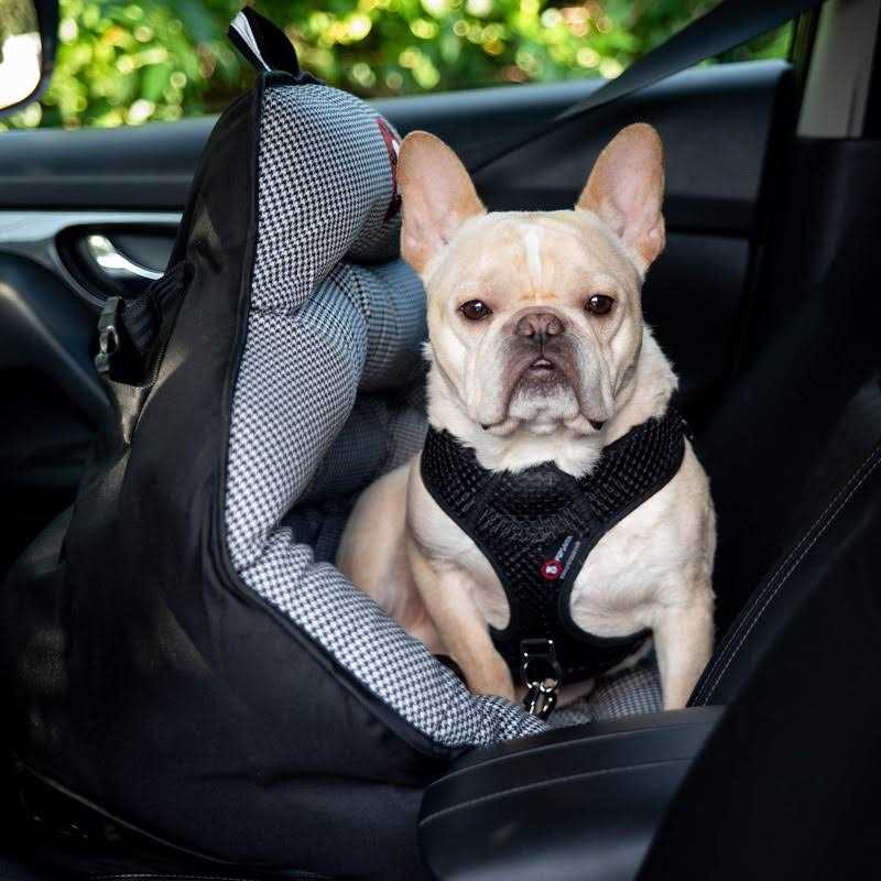 Dog Car Seat for Small and Medium Dogs L931398
