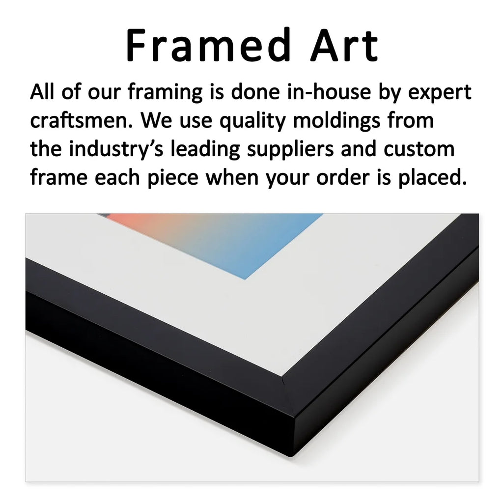 Framed Print T22101