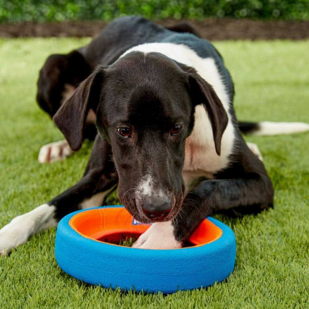 Dog Toy E1722