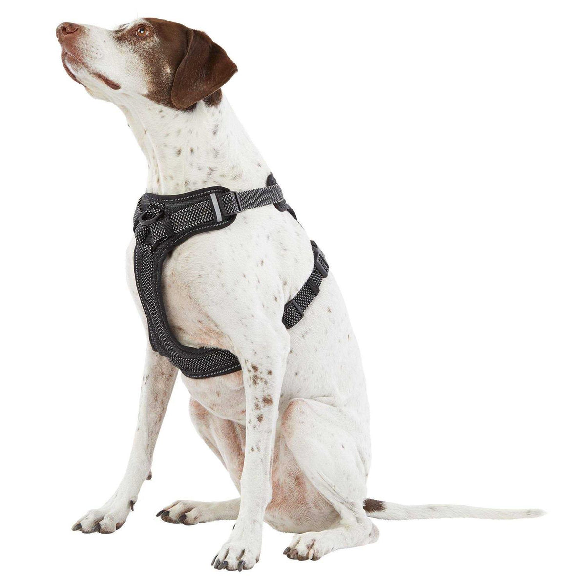 Reflective Dog Harness V886163