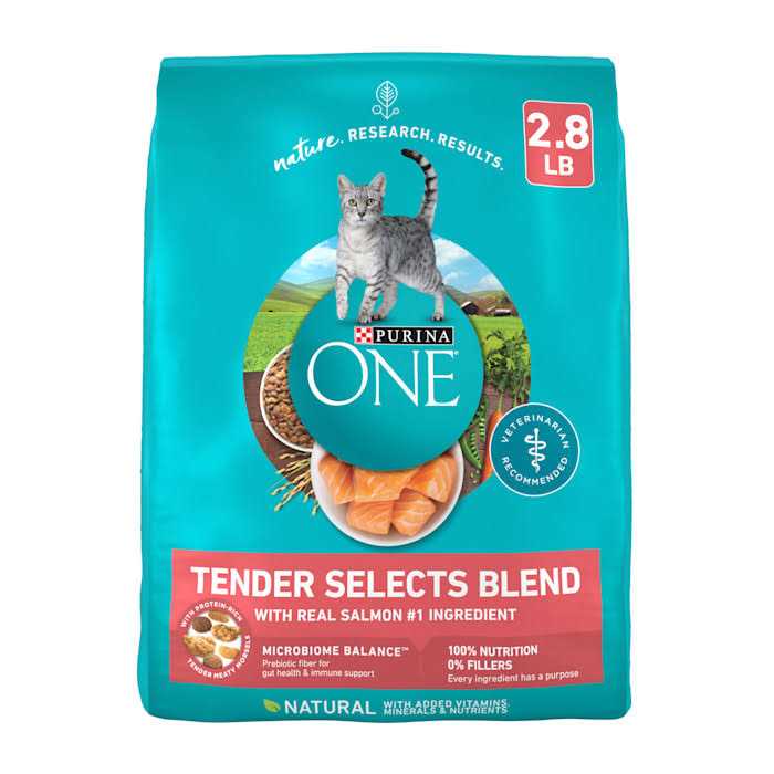 Dry Cat Food With Real Chicken X42239