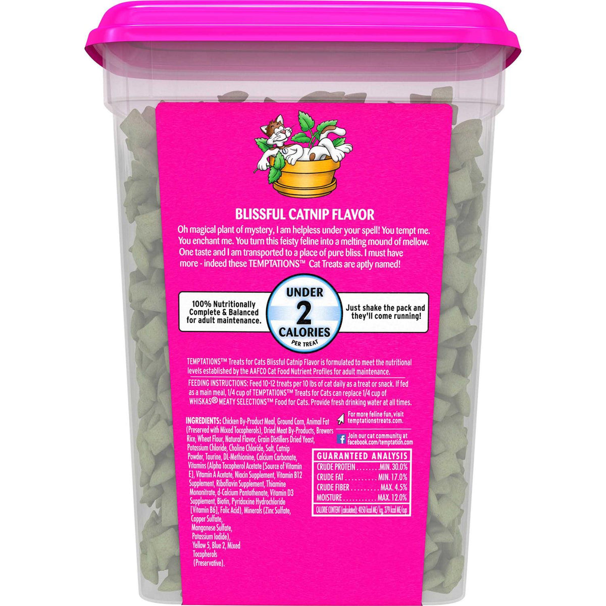 Catnip Flavor Cat Treats H524