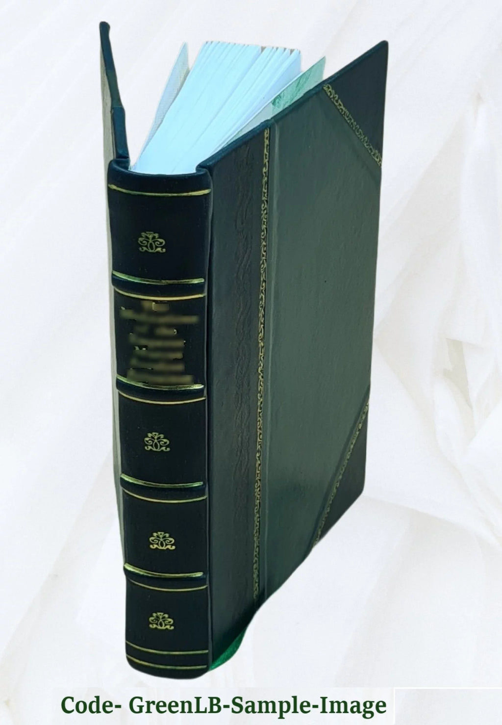 General Pathology Handbook E13269