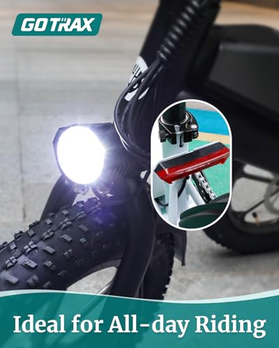 16x3.0 Fat Tire 750W Folding Electric Bike Z383