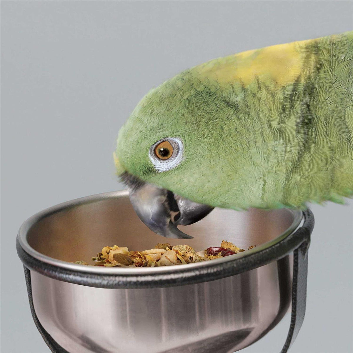 Bird Stand P817